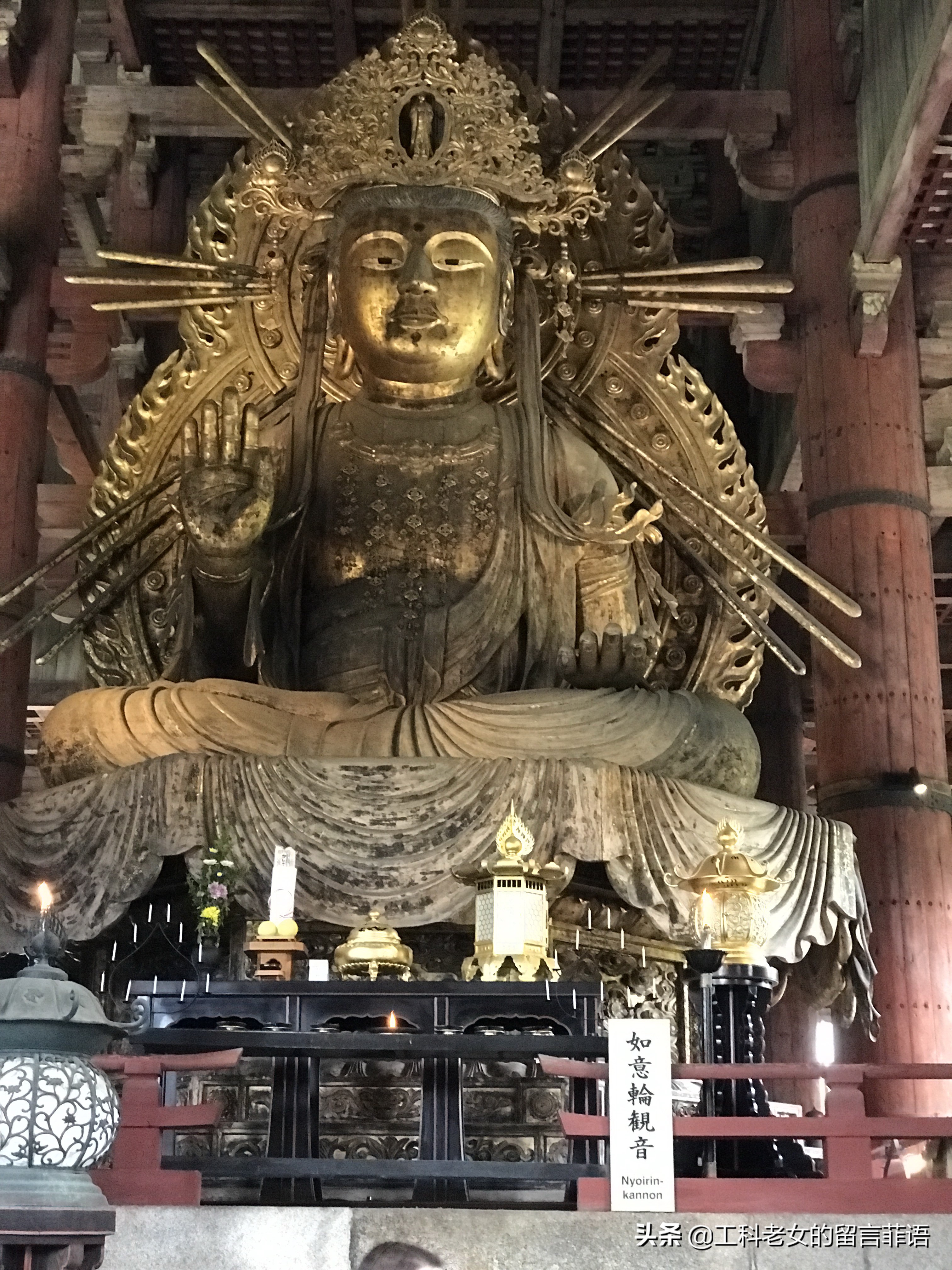 奈良东大寺大佛殿和太和殿,奈良东大寺位置地图图片