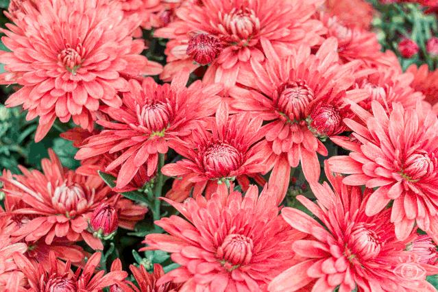 天下最美湖泊西湖,比西湖更美的湖泊