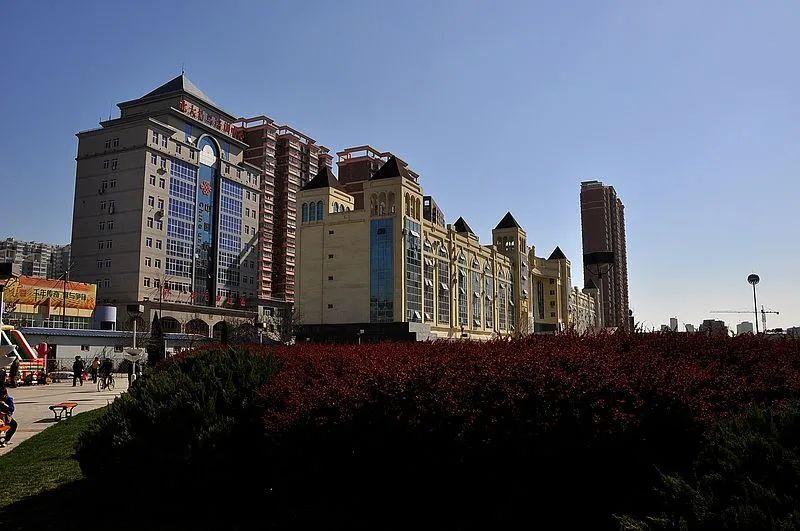 河北衡水的教育怎么样,河北衡水教育在全国什么水平