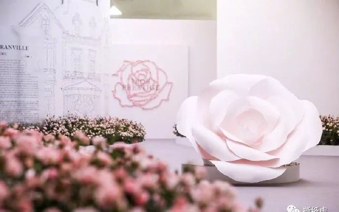 推广全靠刷,日常阅读100+,Dior该洗洗眼了