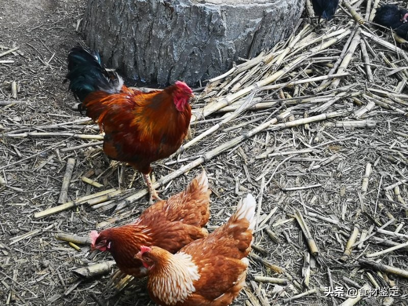 沈阳周边自然风光一日游的地方,沈阳隐秘的地方