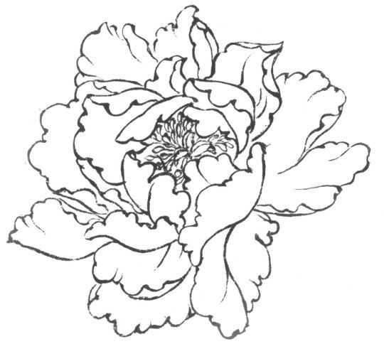 牡丹切瓣花国画画法,国画山茶花花瓣画法