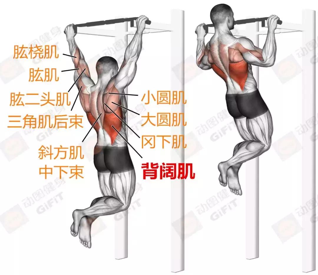 女生健身房器械训练计划一周,初中生健身房器械训练计划