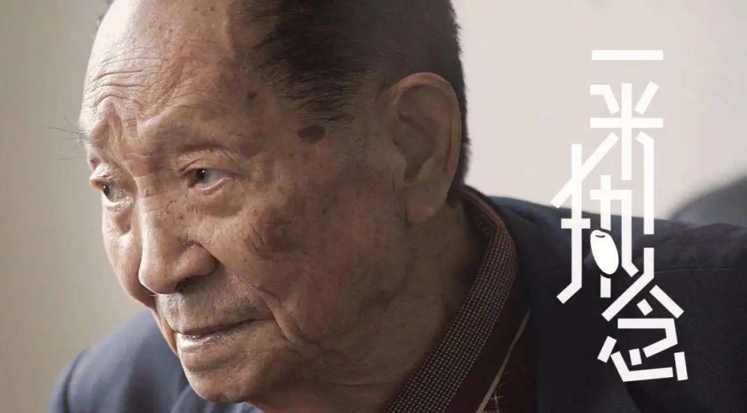 20世纪90年代后期袁隆平,90年代袁隆平视频