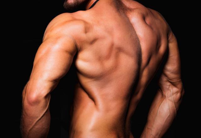 健美为什么可以锻炼肌肉,健身肌肉越来越强壮是什么原因