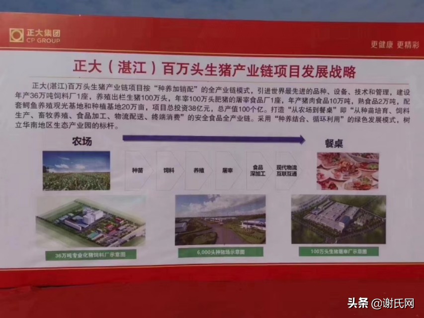 谢氏家族正大集团,正大集团谢氏家族有多少资产