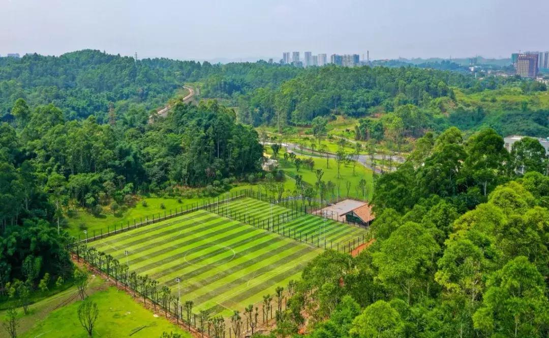 乐山市生态文明,庆祝新中国成立70周年特辑宣讲