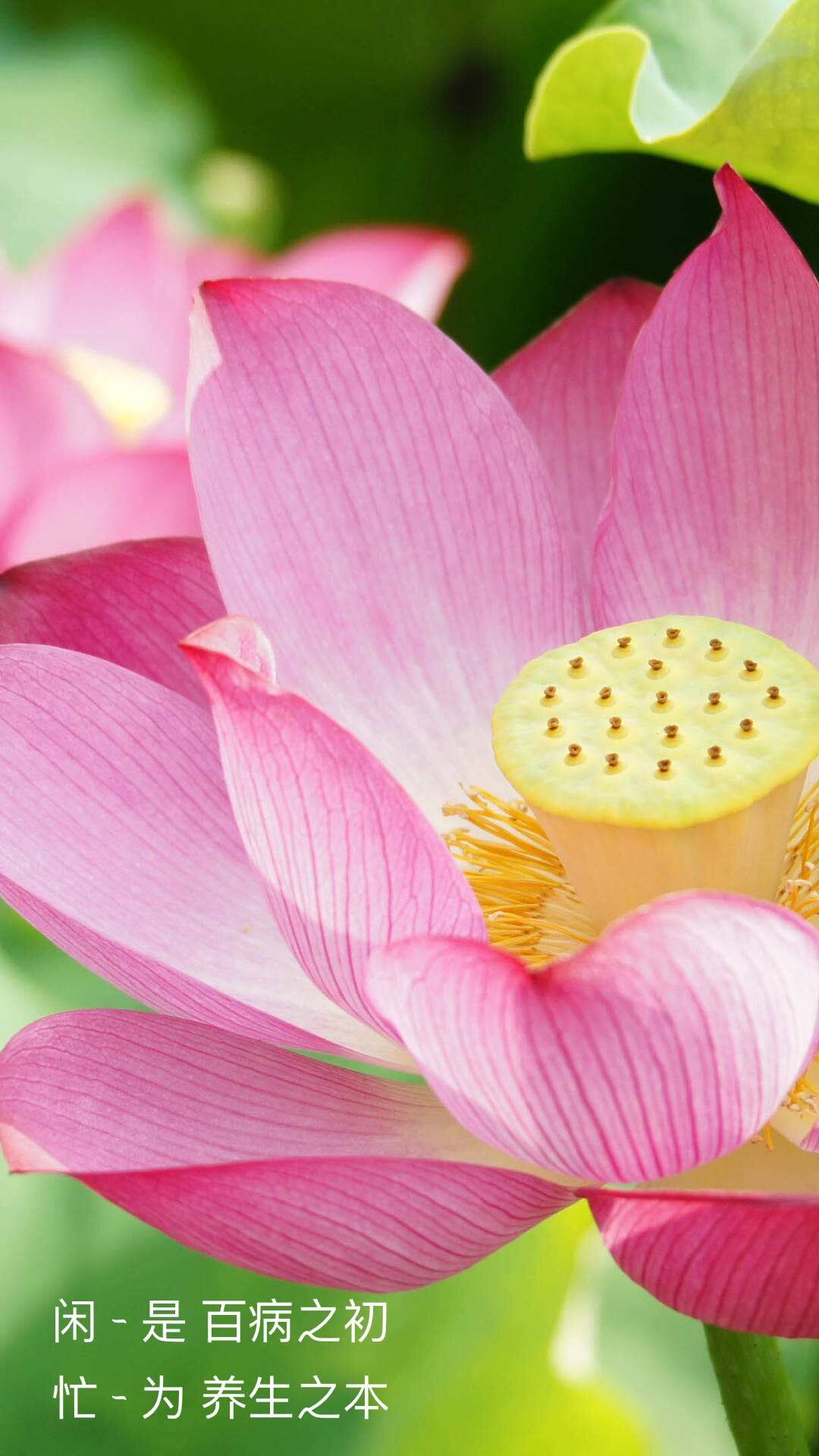 心中的神明,心中的神明作文