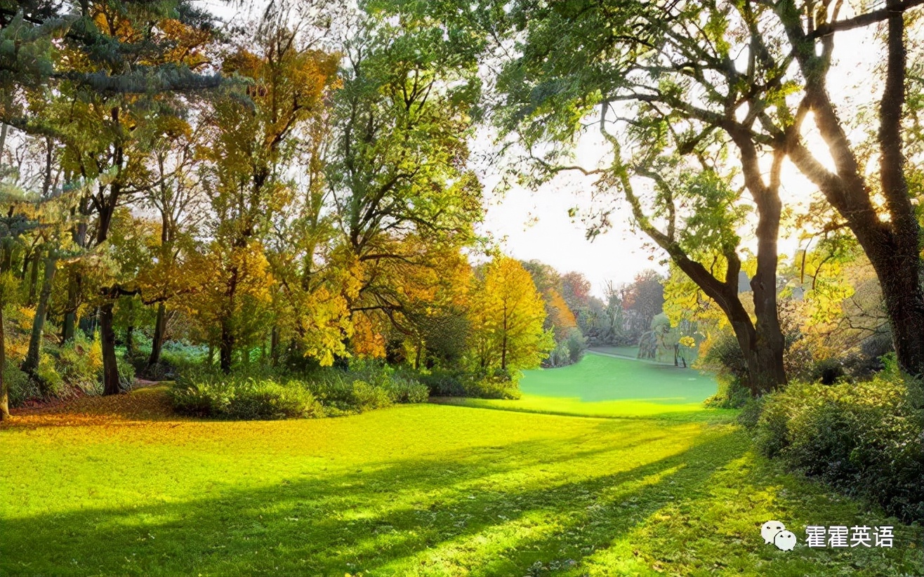 无灵主语句的翻译技巧,无灵主语句的简单例子