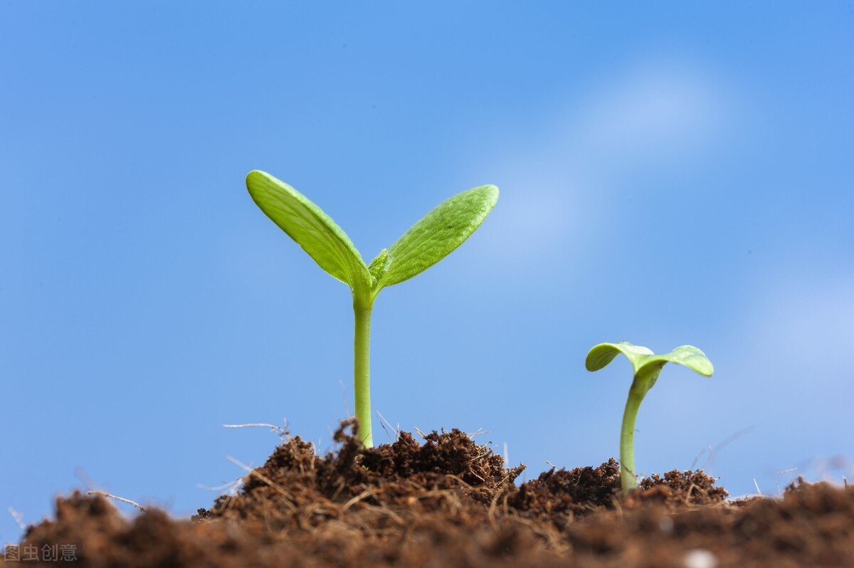 岭南网红学校,省锡中双语学校