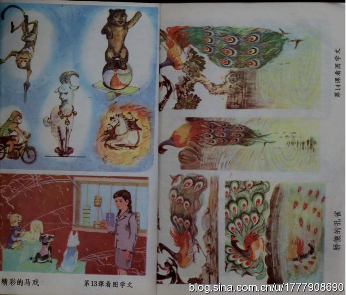 珍藏版：1987-1988年人教版五年制小学语文全集