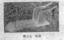 太原娄睿墓预约攻略,太原北齐徐显秀墓发掘简报