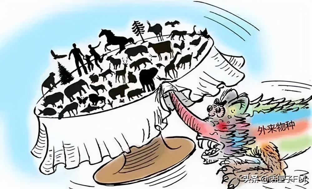 4米长,手臂粗!海关截获眼镜王蛇,现场还在不断喷射毒液