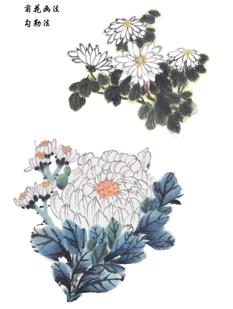 梅兰竹菊国画菊花初学者怎么用笔,国画菊花的画法和技巧