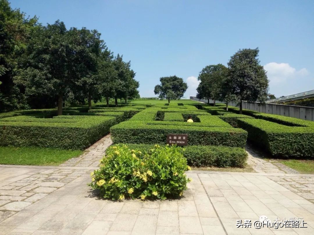 香港亲子游图文攻略图片大全,香港亲子游最佳路线图