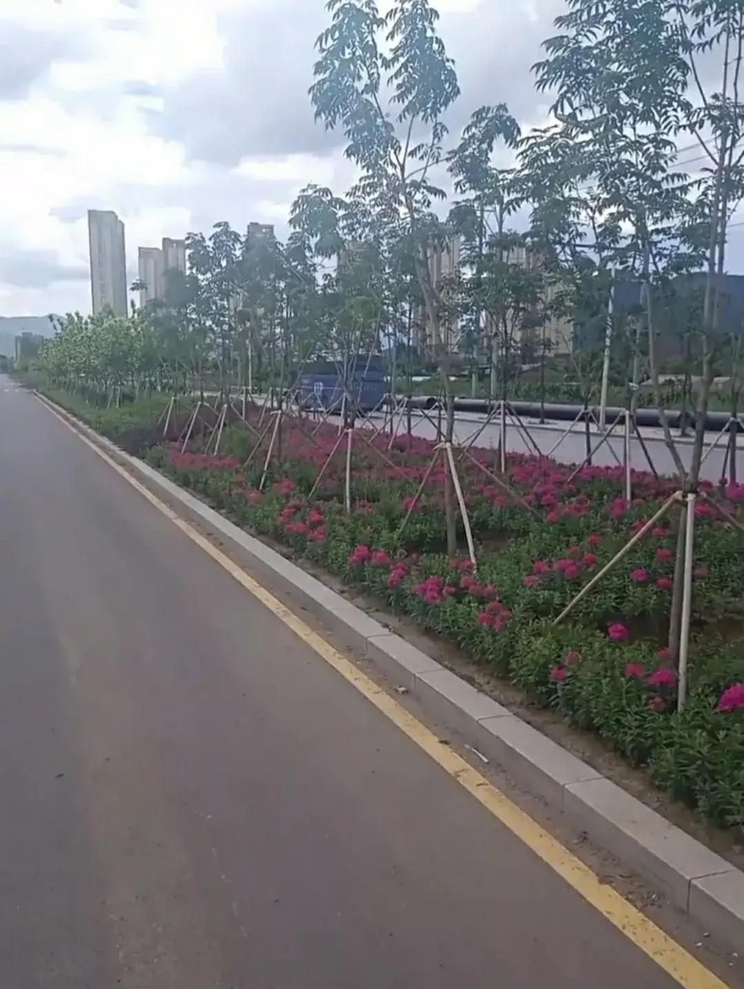 九月份即将到来,本溪太子河新城现在发展怎么样呢?带你们看一下