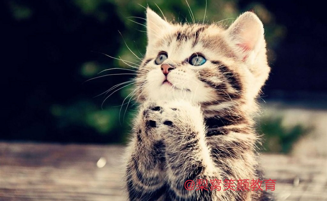 2020年最赚钱的六个新兴行业,2020年最赚钱的六大行业