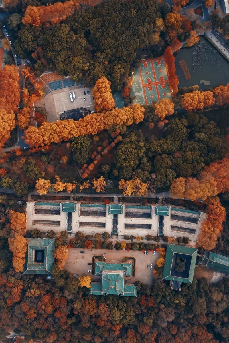 中国最美的大学武汉大学,最美的武汉大学