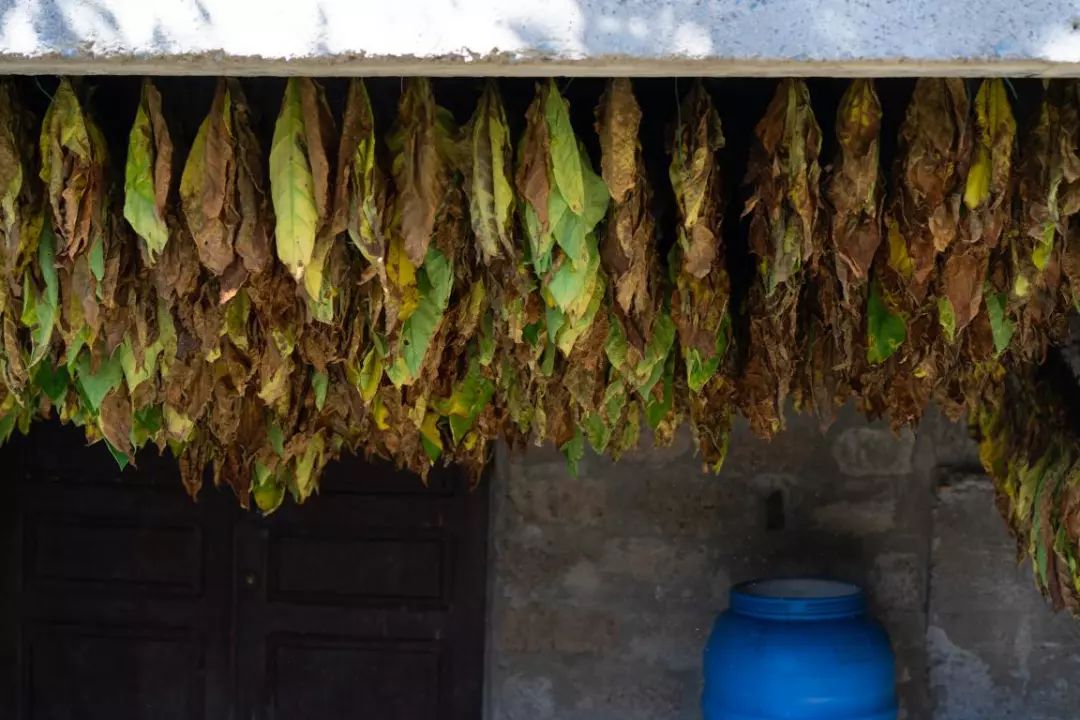 格鲁吉亚民族宗教,格鲁吉亚宗教史