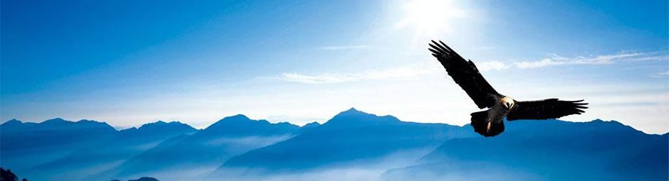 企业跟加盟商合作协议模板,公司加盟合作协议书