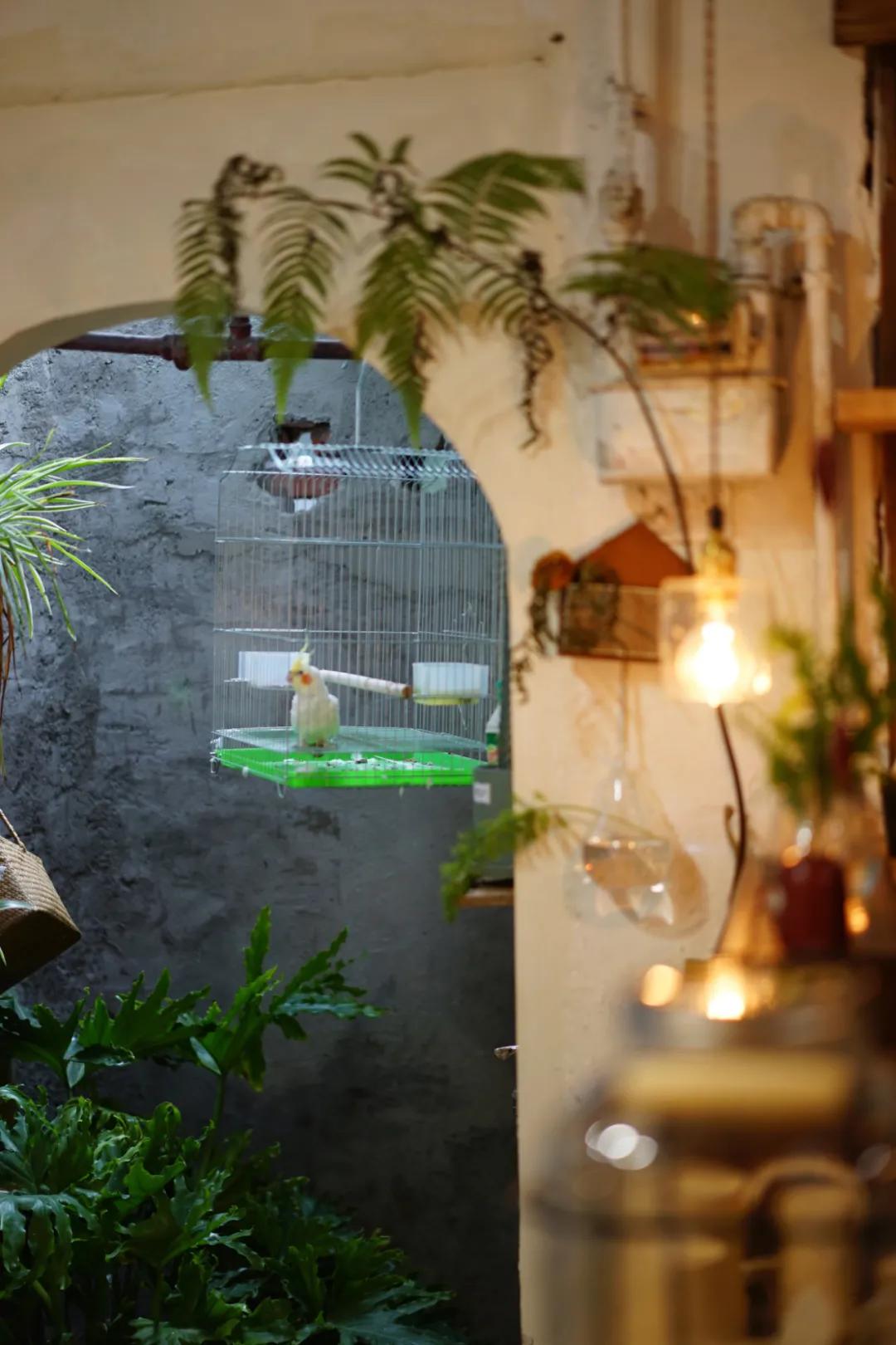 成都两个小姑娘开的老房子花艺杂货铺，外地游客不远千里专程打卡