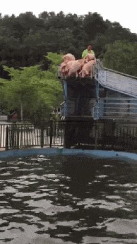 搞笑gif狗子我为这个家操碎了心,搞笑gif图片狗子都开始学坏了