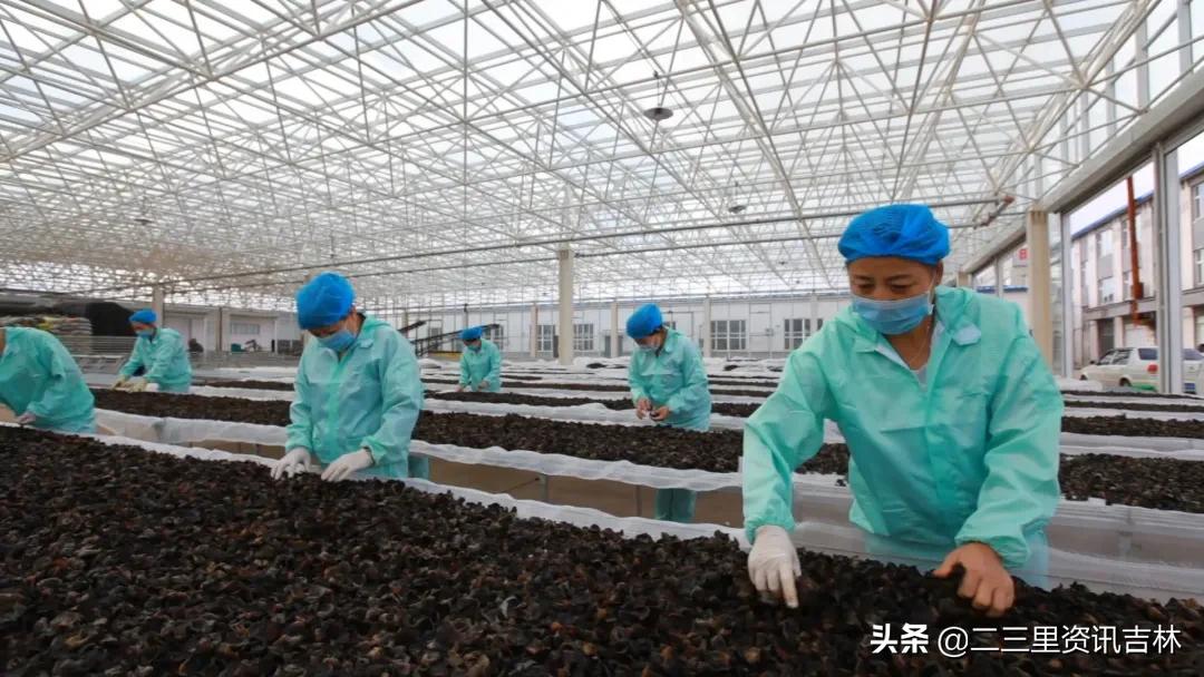 3分钟让你爱上jojo,3分钟让你爱上她