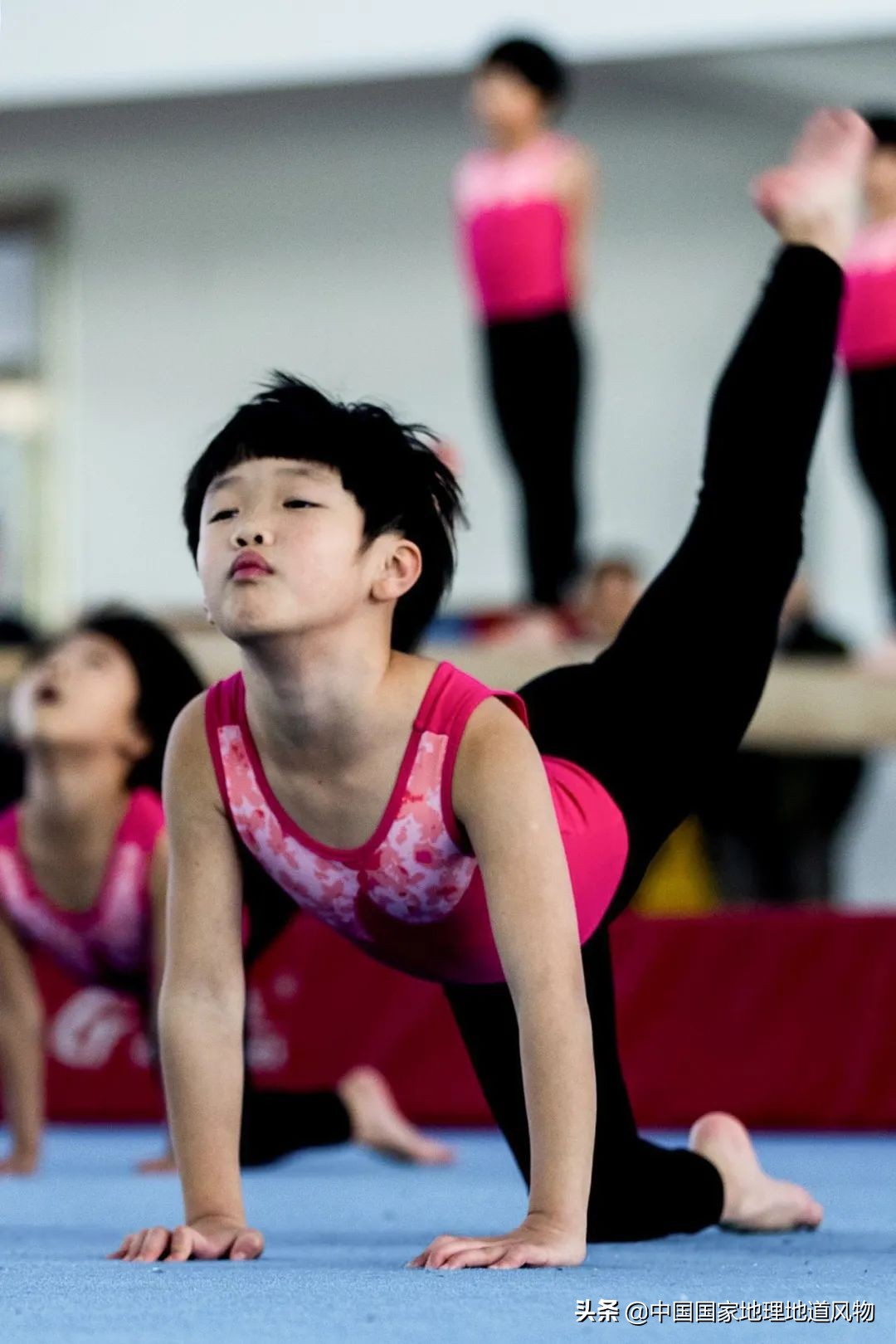 中国奥运冠军最多的是哪个城市,盛产奥运冠军的浙体院