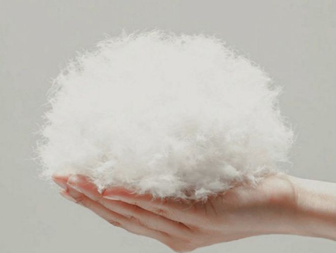 御寒首选鹅绒被怎么选：看含绒量、清洁度、蓬松度