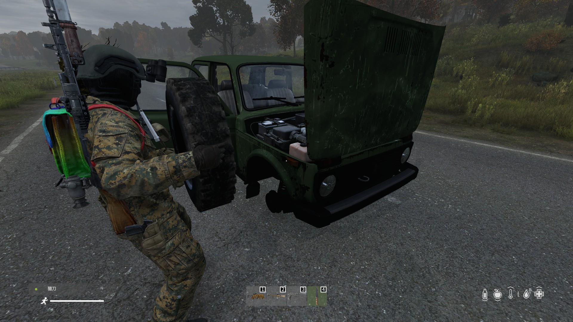 dayz这游戏怎么样,dayz游戏测评