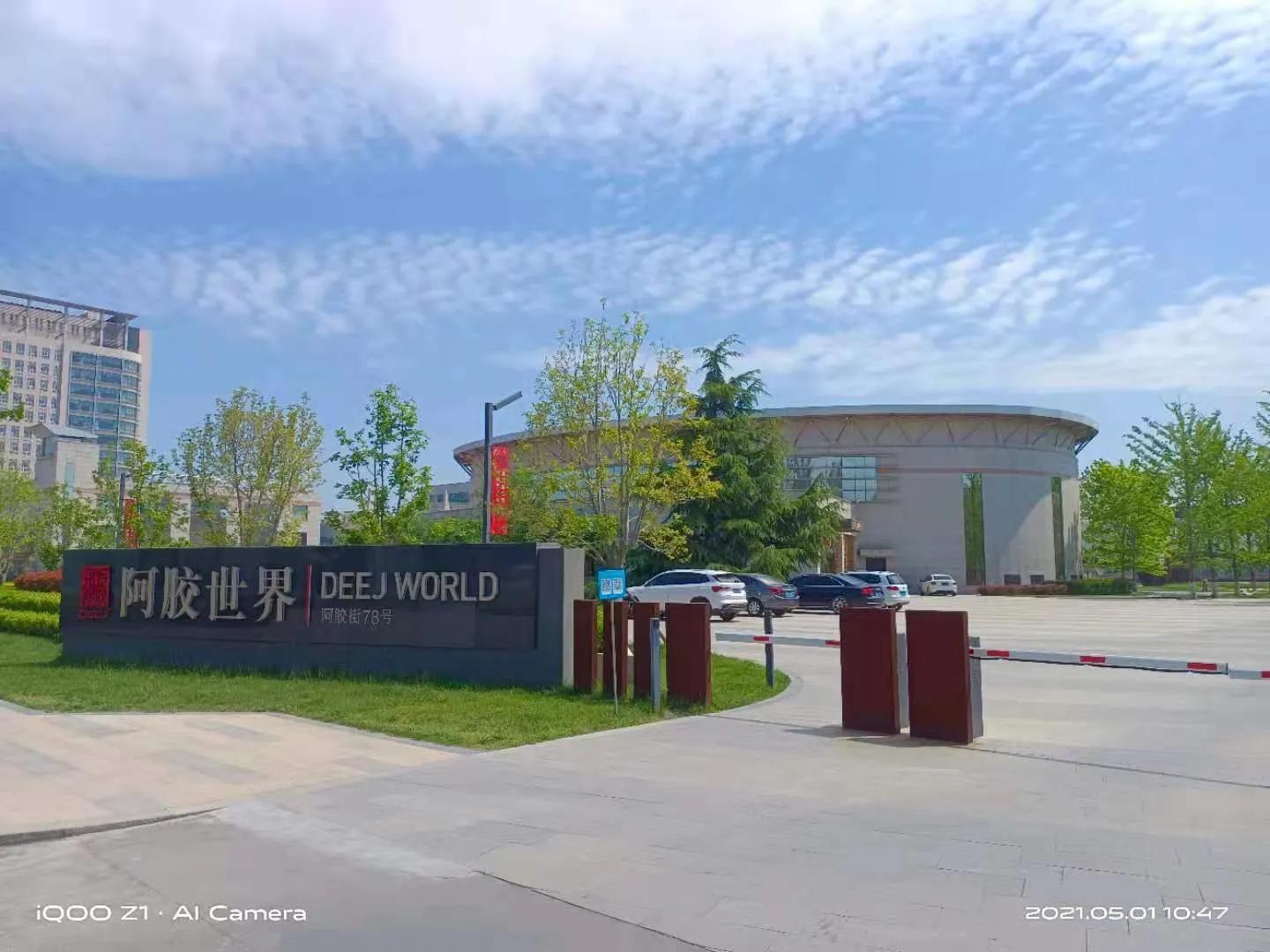 退休后的单身结伴去旅游,退休结伴自驾旅游