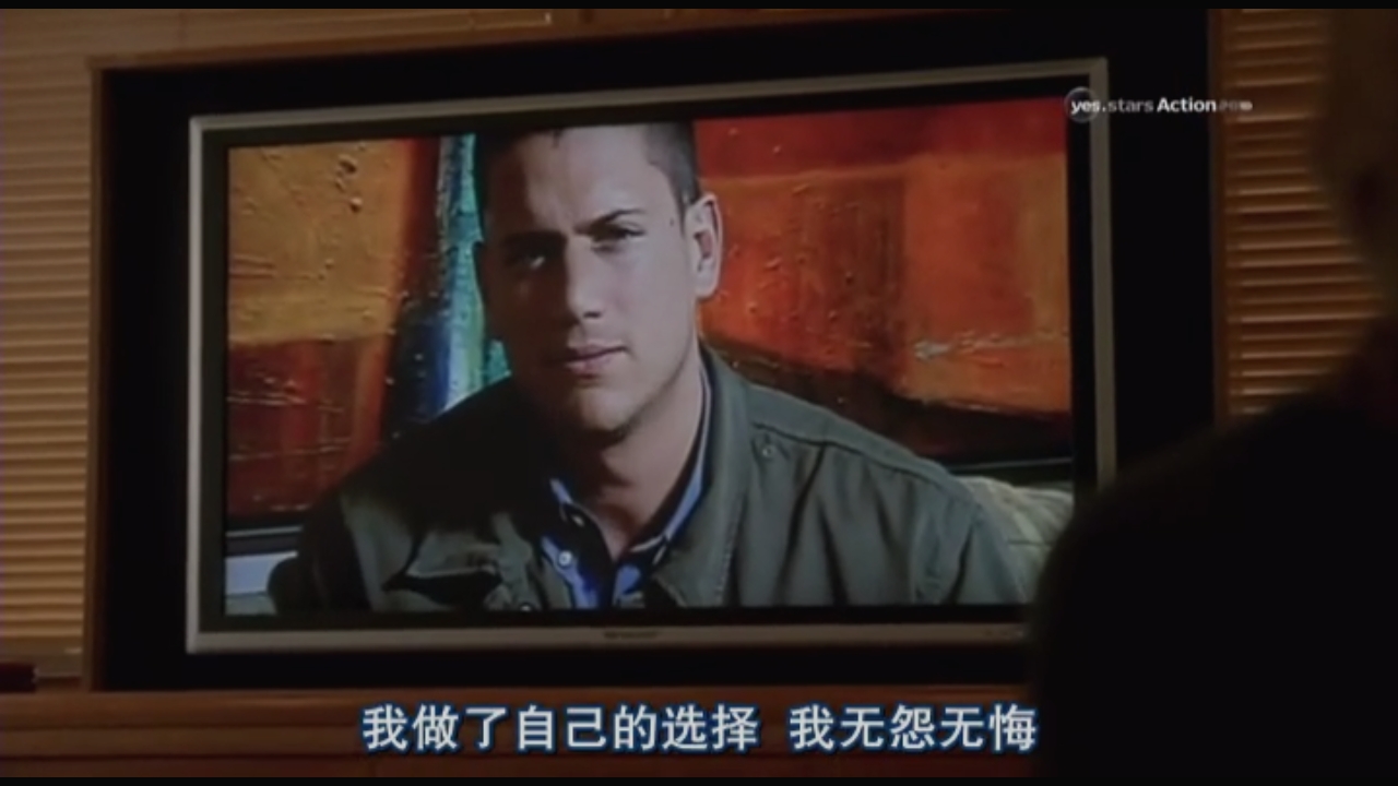 越狱第五季一剪到底,越狱第五季为啥只有9集