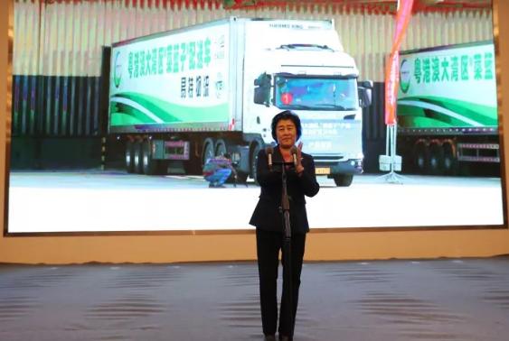 寿光菜篮子果蔬,寿光粤港澳大湾区蔬菜