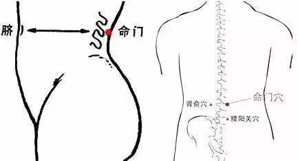 腰痛腰困用什么效果好,腰累腰酸怎么调理