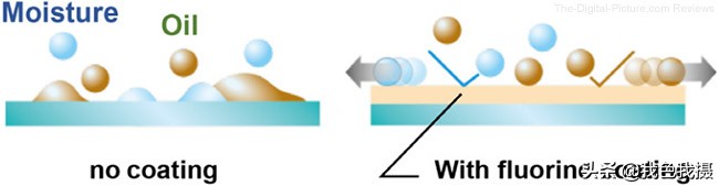 佳能EF600mmf/4LISIIIUSM镜头评测