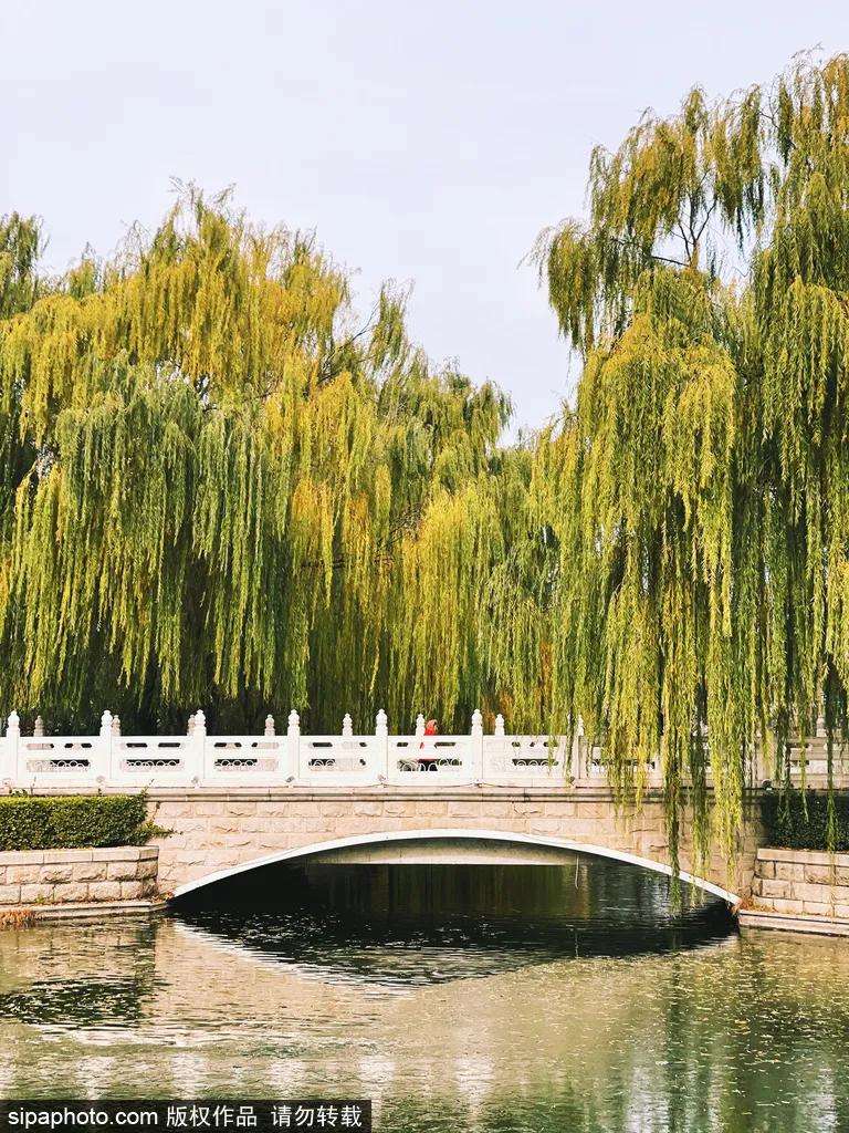 北京不需要预约免费的打卡地,不需预约打卡地北京