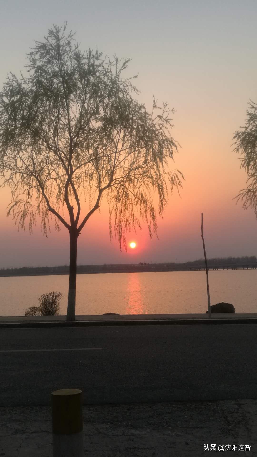 丁香湖真的太美啦,丁香湖的四大景观