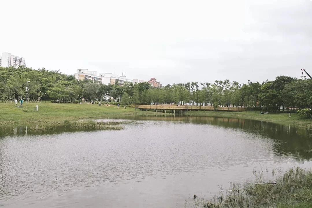 深圳二号线沿线有哪些景点游玩,深圳9号线沿途好玩的地方推荐