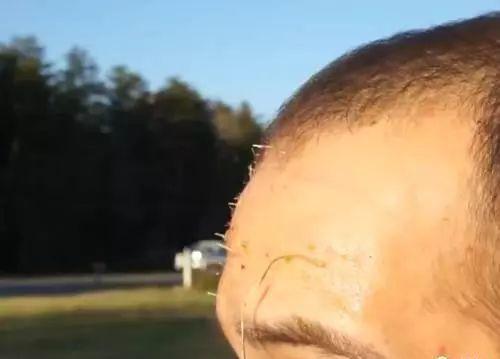 看着都痛的搞笑名场面,看着都痛的搞笑图片