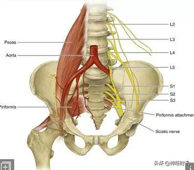 病理脚麻的最快恢复方法,脚麻诊断思路