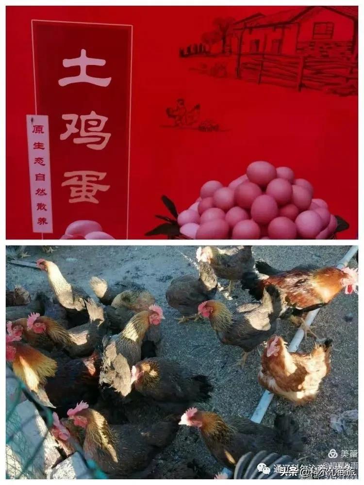 福鲜圆笨猪肉黑猪肉连锁店