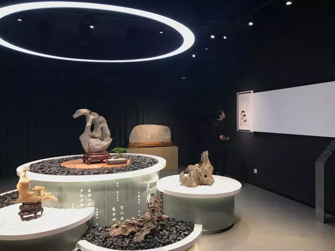 深圳红立方奇石展馆——城市中的一片自然