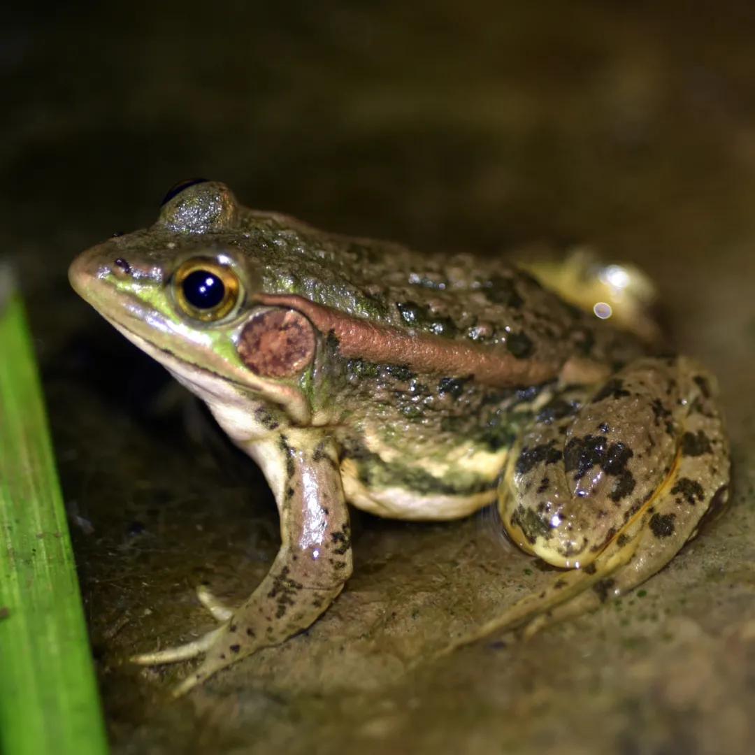 合肥融创茂宝藏秘境,合肥宝藏地