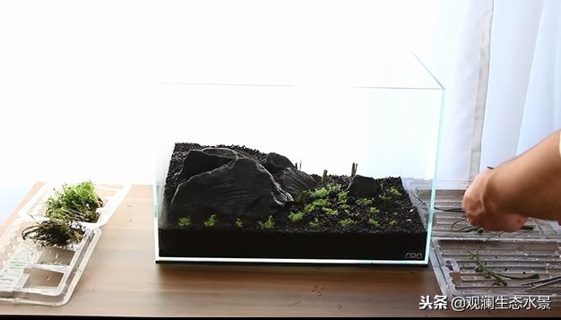 ada石景缸贵吗,ada35小缸造景