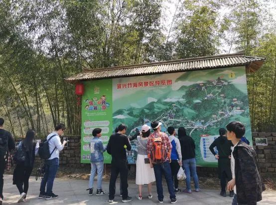 不负假期不负青春,不负韶光享受春日