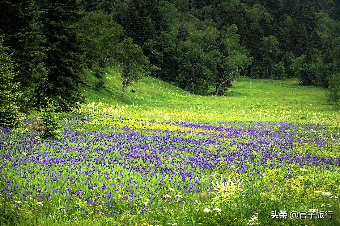 自驾游夏天长白山旅游攻略,夏天长白山附近旅游攻略