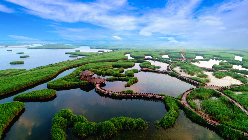 沧州滨海恒大文旅城,滨海恒大文旅城现状