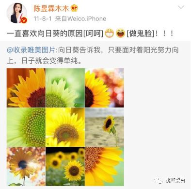 坐私人飞机买爱马仕,坐飞机带爱马仕