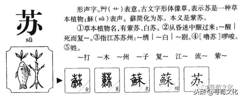 鑻忕殑濮撴皬瀛椾綋,鐢ㄦ眽瀛楁枃鍖栫煡璇嗗垎鏋愯嫃杩欎釜濮撴皬