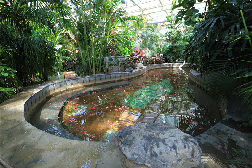 京津冀周边玩三天左右,京津冀十月旅游免费景区